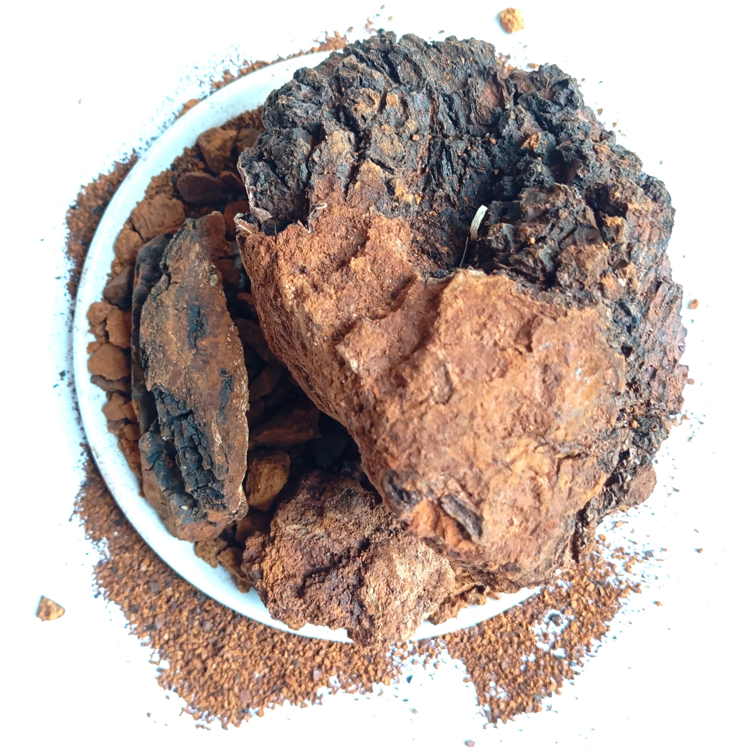 Chaga huba syberyjska duże kawałki 500g - obrazek 3