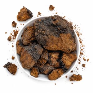 Chaga huba syberyjska duże kawałki 500g