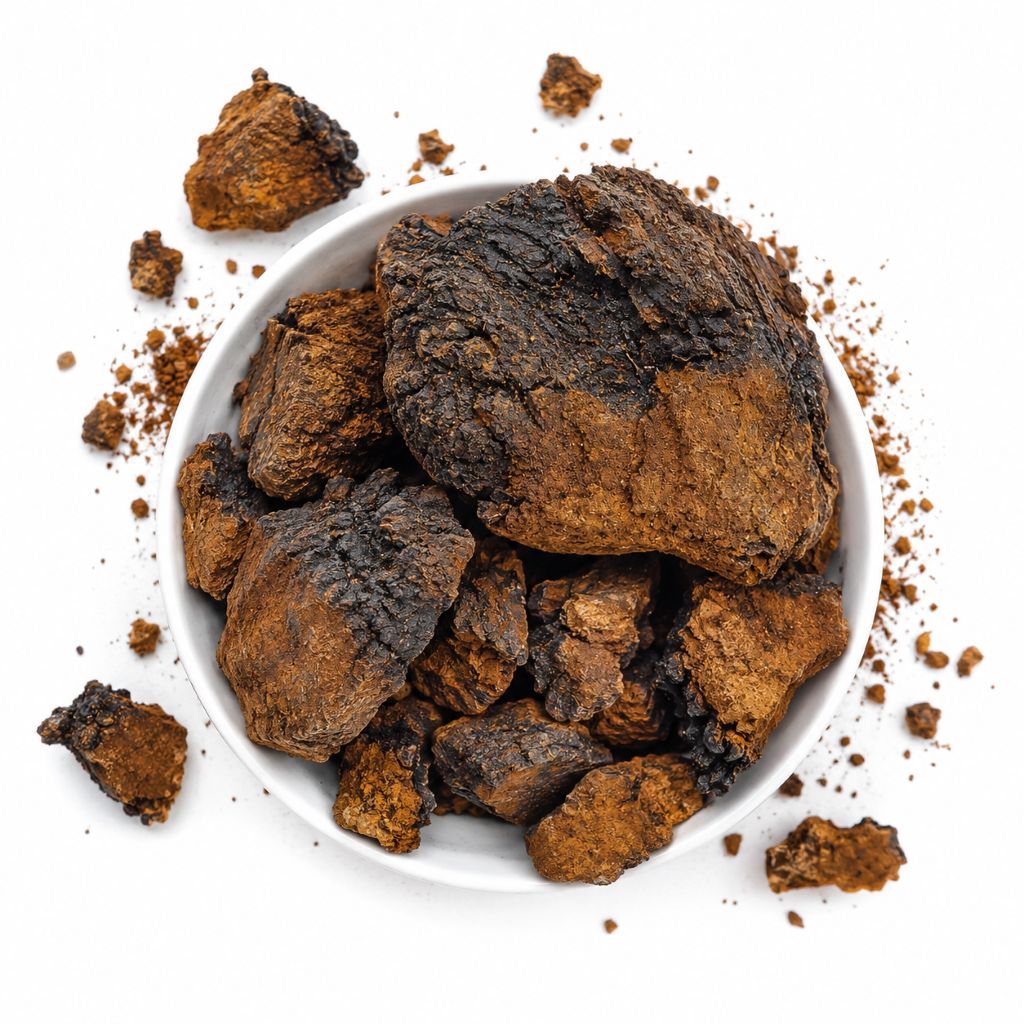 Chaga huba syberyjska duże kawałki 500g